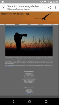 Alte Website - Smartphone Ansicht